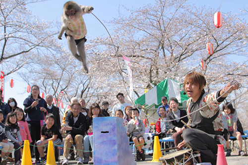 猿回しによる大道芸