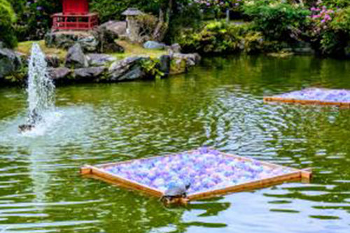 花筏(フォトスポット)の設置