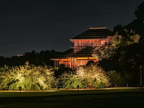 萩のライトアップ