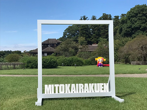 萩のライトアップ