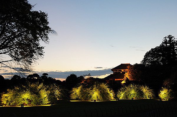 萩まつり写真写真