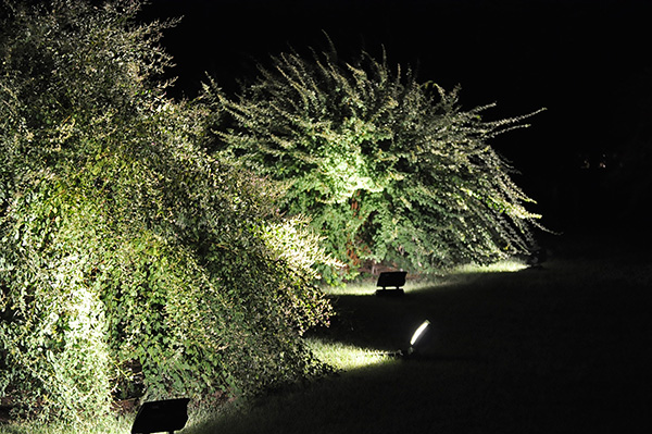 萩まつり写真写真